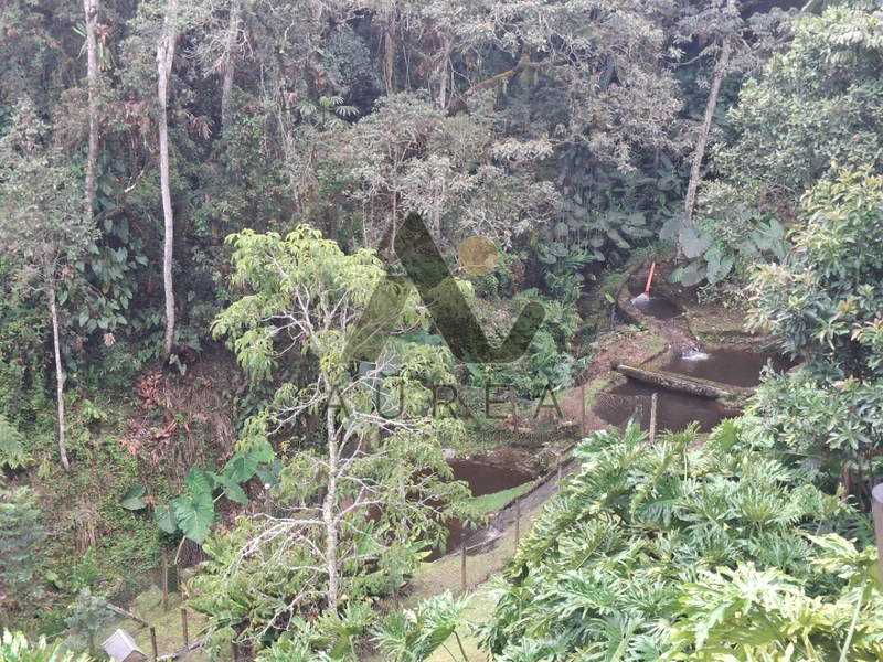 Finca en El Retiro, foto 2